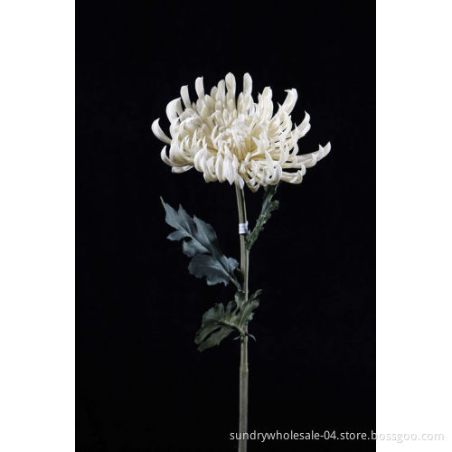 FUJI Mum Flower